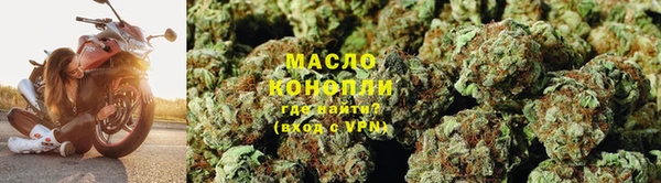 гидра Гусь-Хрустальный