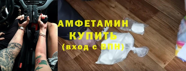гидра Гусь-Хрустальный